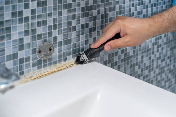 Best Mold Remediation  in Lmdale, PA